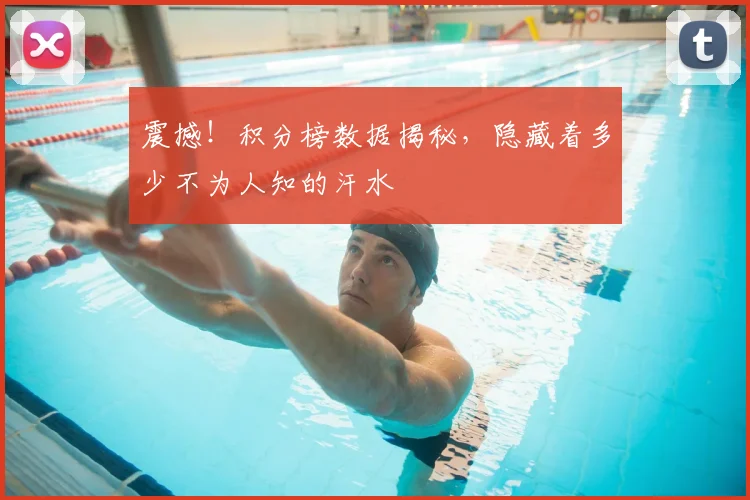 震撼！积分榜数据揭秘，隐藏着多少不为人知的汗水
