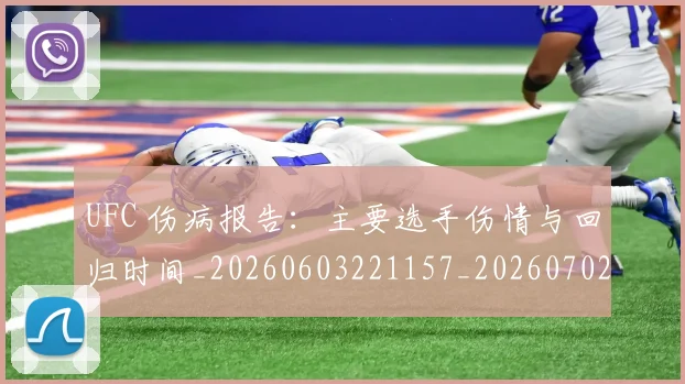 UFC 伤病报告：主要选手伤情与回归时间_20260603221157_20260702171218